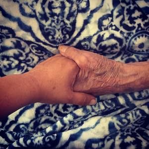 Meet your Posher, Berenice